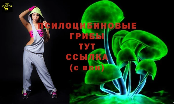 спайс Баксан