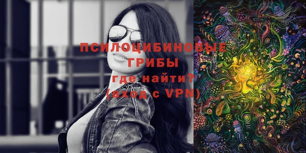 спайс Баксан