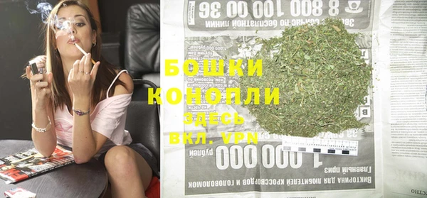 спайс Баксан