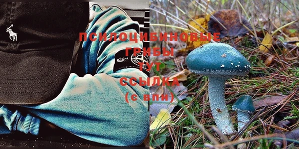 винт Балабаново