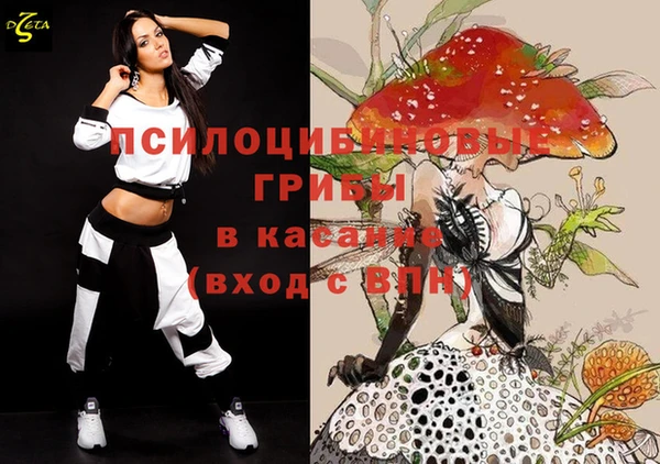 спайс Баксан